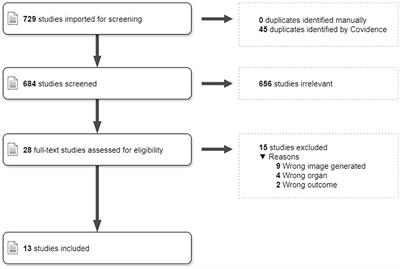 A scoping review of magnetic resonance angiography and perfusion image synthesis